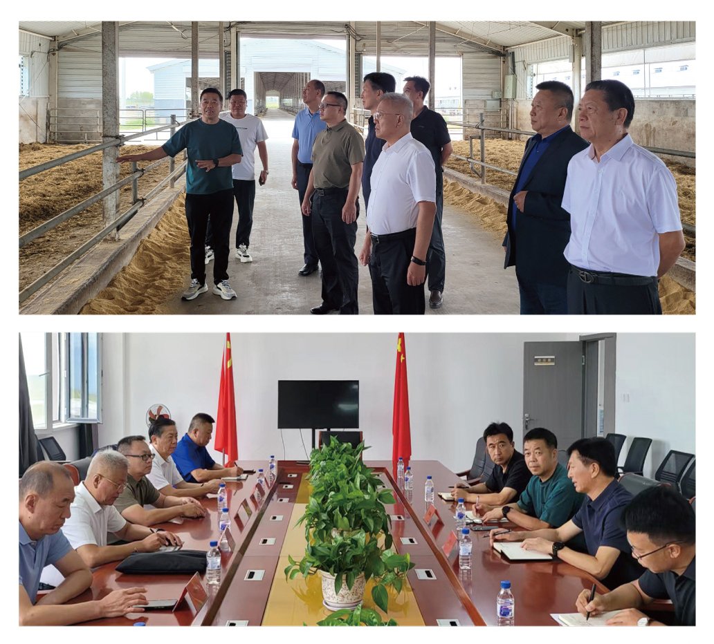 rb88随行版-rb88手机随行版登录入口