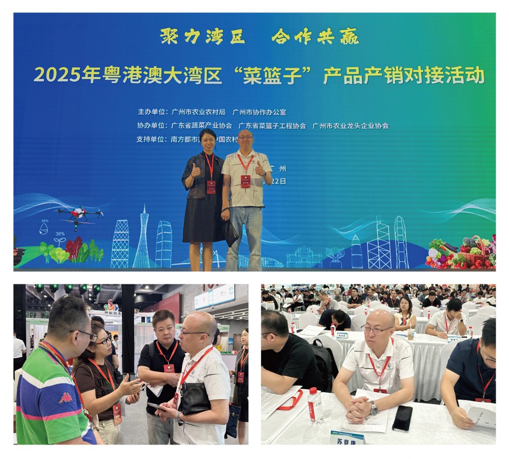 rb88随行版-rb88手机随行版登录入口