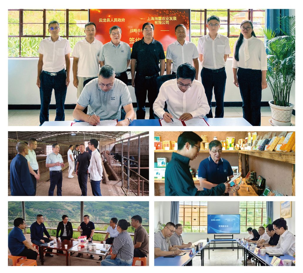 rb88随行版-rb88手机随行版登录入口