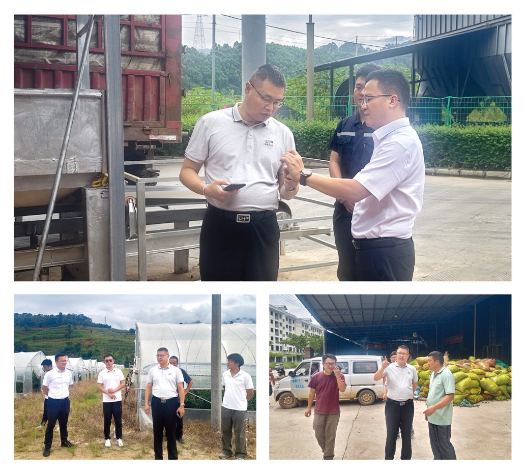 rb88随行版-rb88手机随行版登录入口