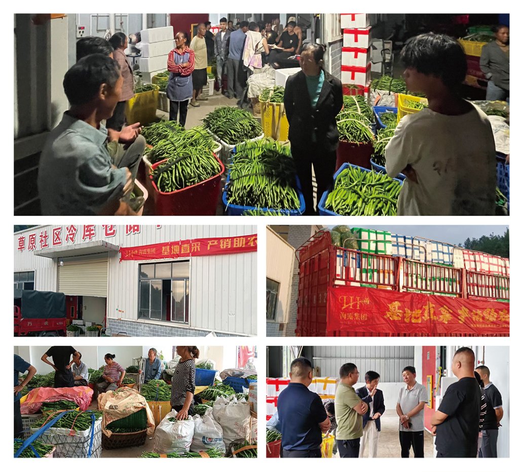 rb88随行版-rb88手机随行版登录入口