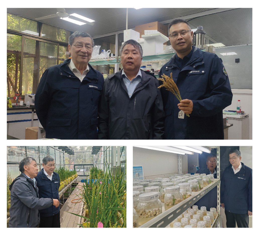 rb88随行版-rb88手机随行版登录入口